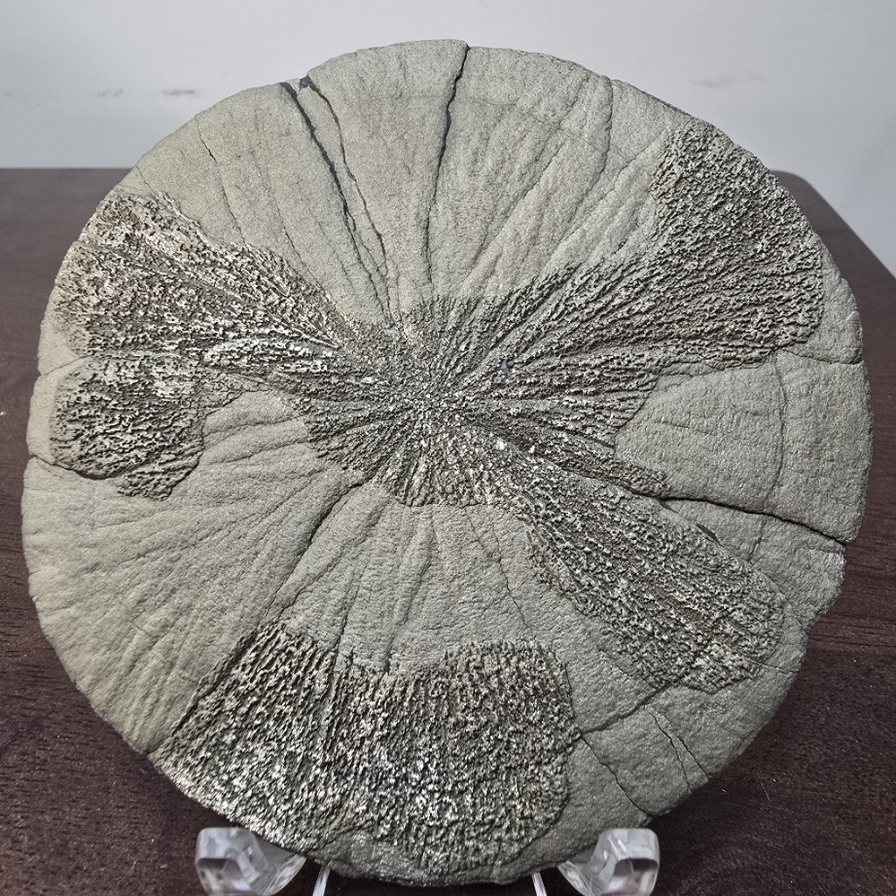 Pyrite Sun Crystal 3.8 inches - Picture 8 of 11